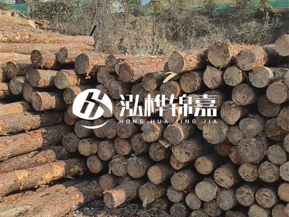 落葉松木材的主要產地在哪里？為什么比其他松木更耐腐蝕？