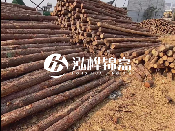 河道木樁施工遇到淤泥怎么辦？打多深才能防沖刷？