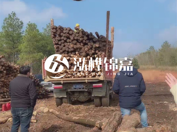 松木樁廠家泓樺錦嘉-存放超過半年的原木松木樁還能用嗎？