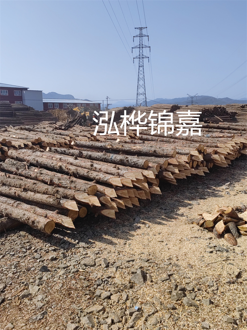 打松木樁施工圖，確保施工質量